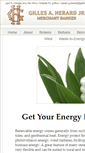 Mobile Screenshot of energy-project-funding.com